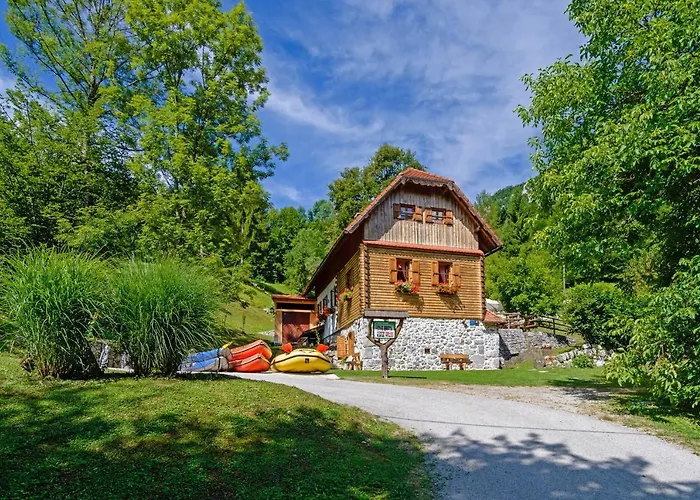 Sobol In Kocicin Kuzelj