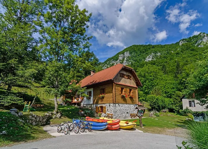 Sobol In Kocicin Kuzelj