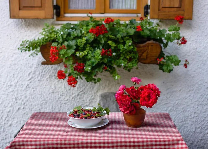 Sobol In Kocicin Kuzelj
