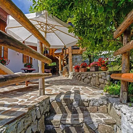 Sobol In Kočičin Kuzelj