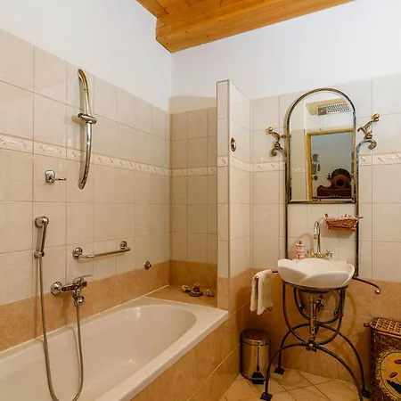 Sobol In Kocicin * Kuzelj