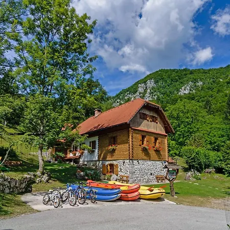Sobol In Kocicin Kuzelj