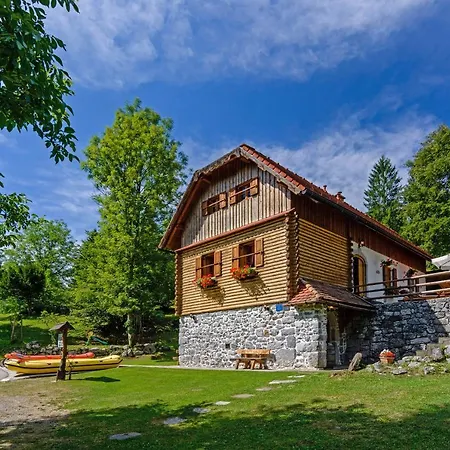 Sobol In Kočičin * Kuzelj