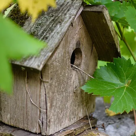 펜션 Sobol In Kocicin Kuzelj