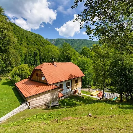 Sobol In Kocicin 펜션 Kuzelj