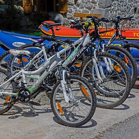 Sobol In Kočičin * Kuzelj