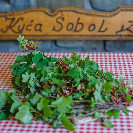 Ferienhaus Sobol In Kočičin *
