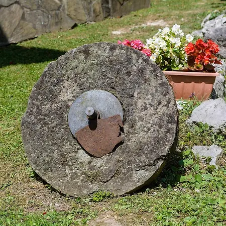 Sobol In Kocicin 펜션 *