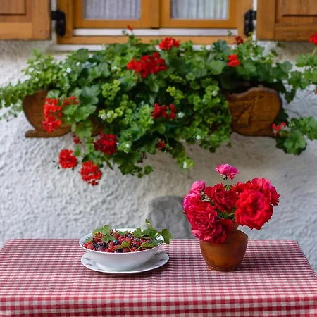 Sobol In Kočičin Kuzelj