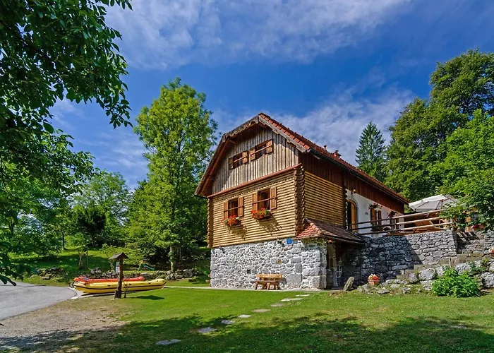 Sobol In Kocicin * Kuzelj